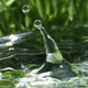 Illustration for article titled Shooting Challenge: Water Drop Gallery Part 2